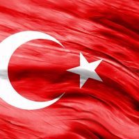 Türk Bayrağı (15)
