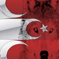 Türk Bayrağı (4)